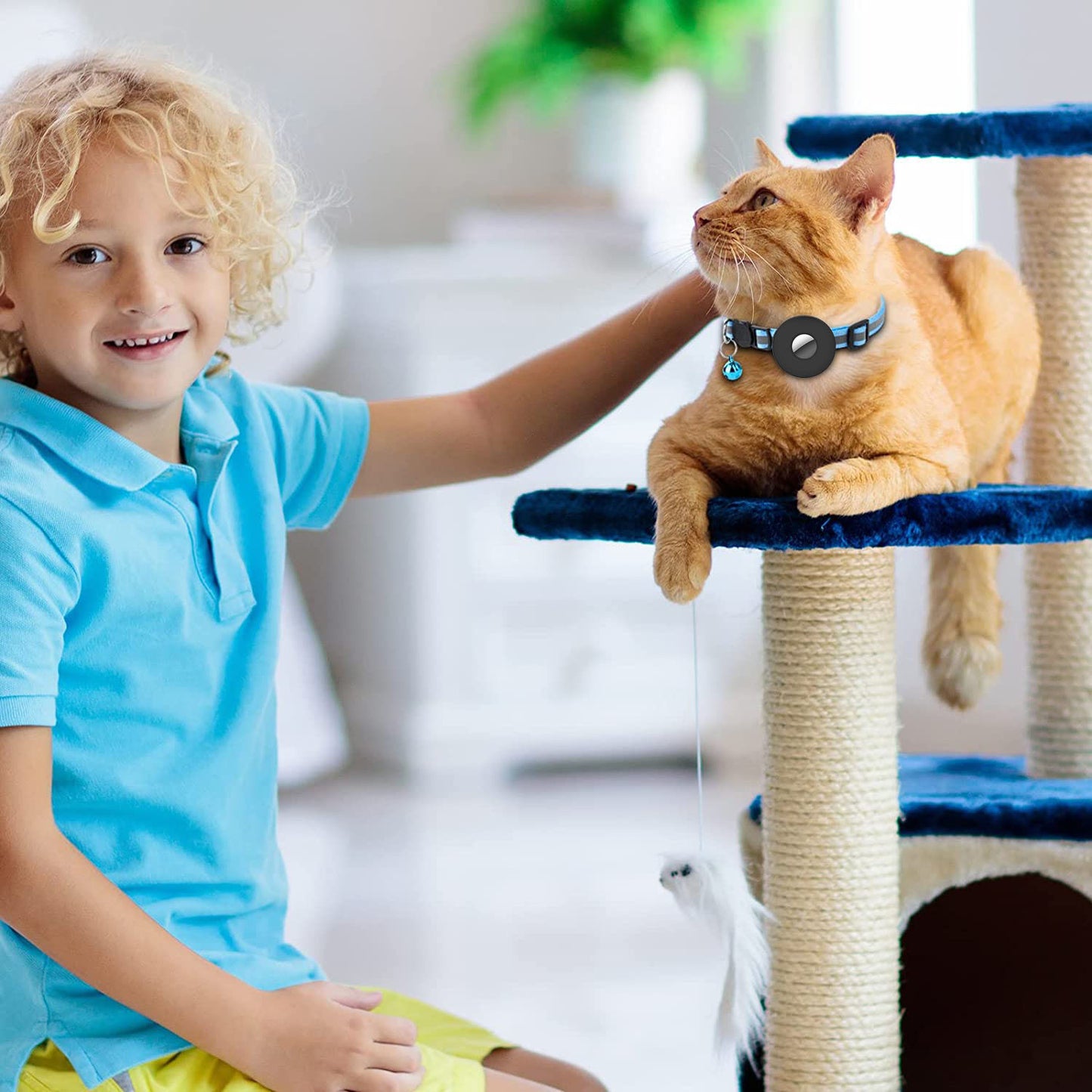 Airtag Pet Collar Anti-lost Cat Dog Collar