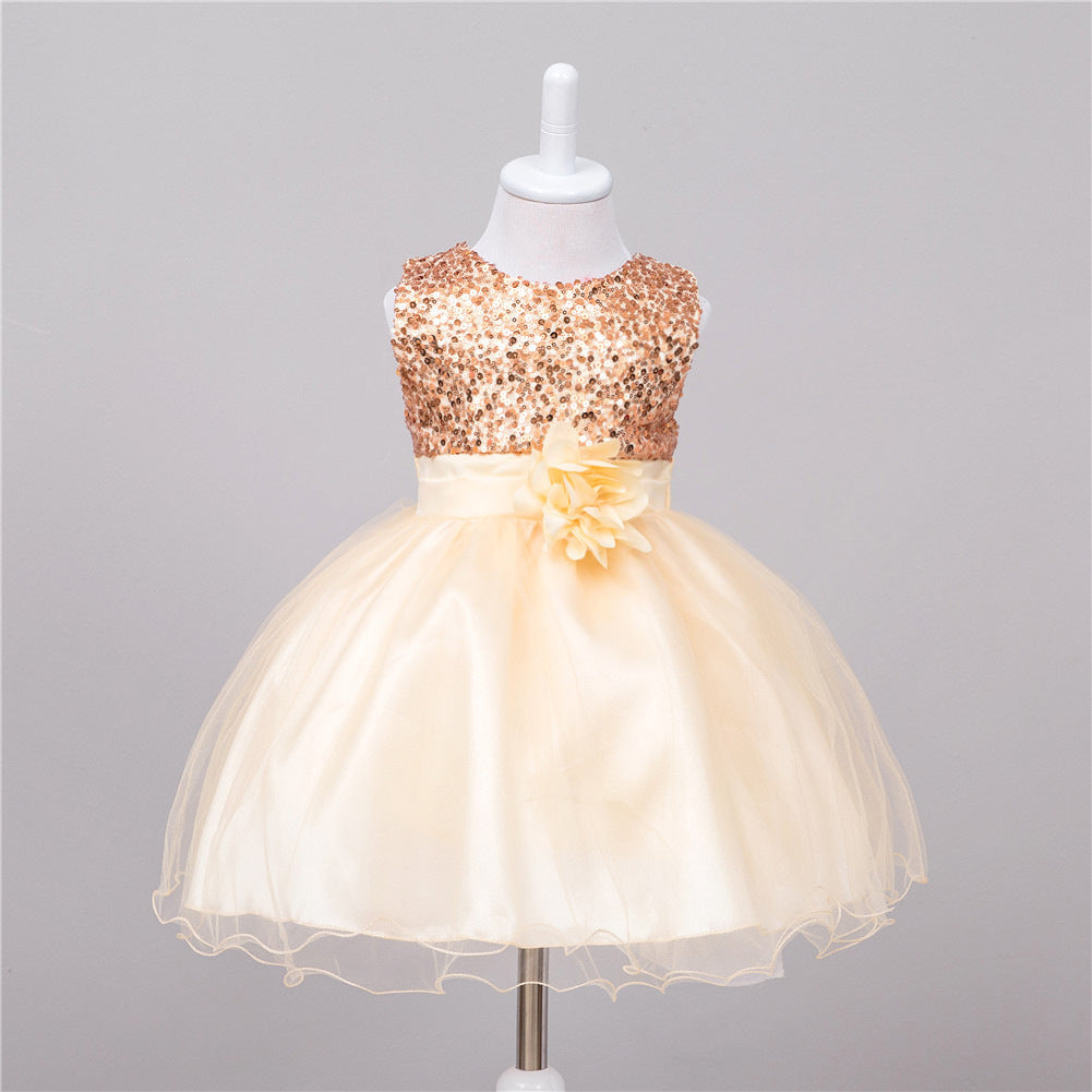 Girl Wedding Princess Dress