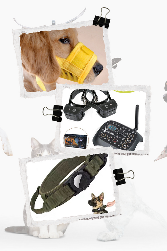 control you pet with love with package of 3